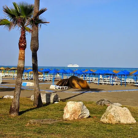 Benitez Azul *